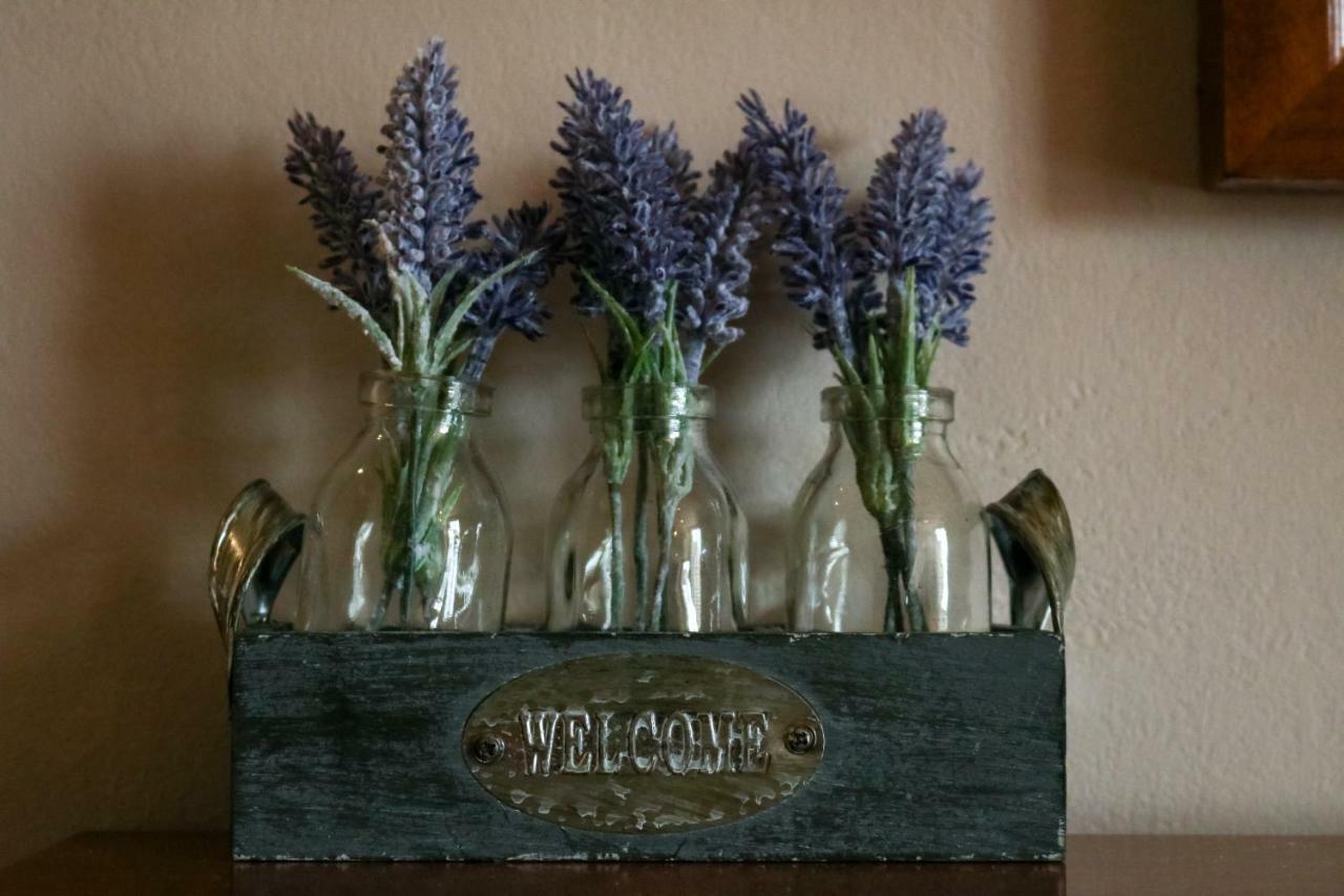 The Hollybush Inn And B&B Priors Marston Eksteriør bilde